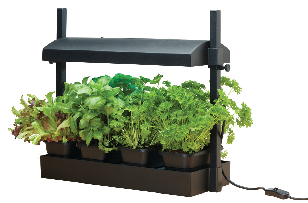Micro Growlight Garden Sort - LED