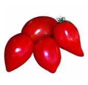 German Red Strawberry