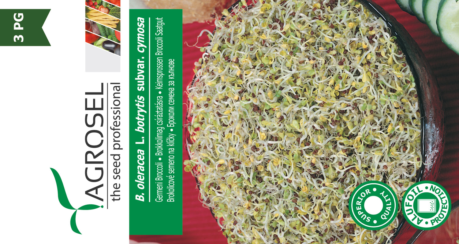 Lucernespirer - B. oleracea L. botrytis subvar. cymosa
