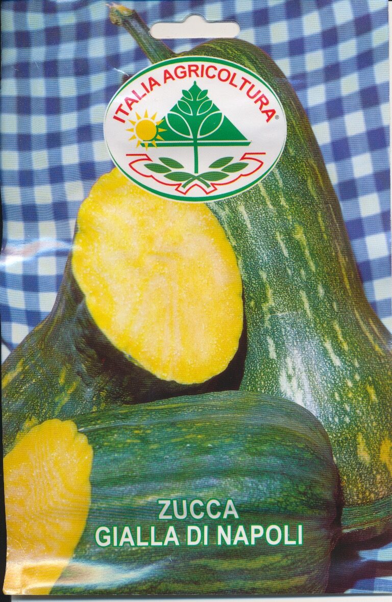 Græskar - Gialla Di napoli