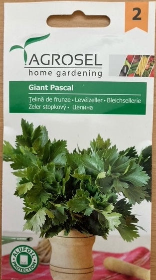 Bladselleri - Giant Pascal - PG2