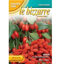 Goji Bær - Lyceum barbarum L