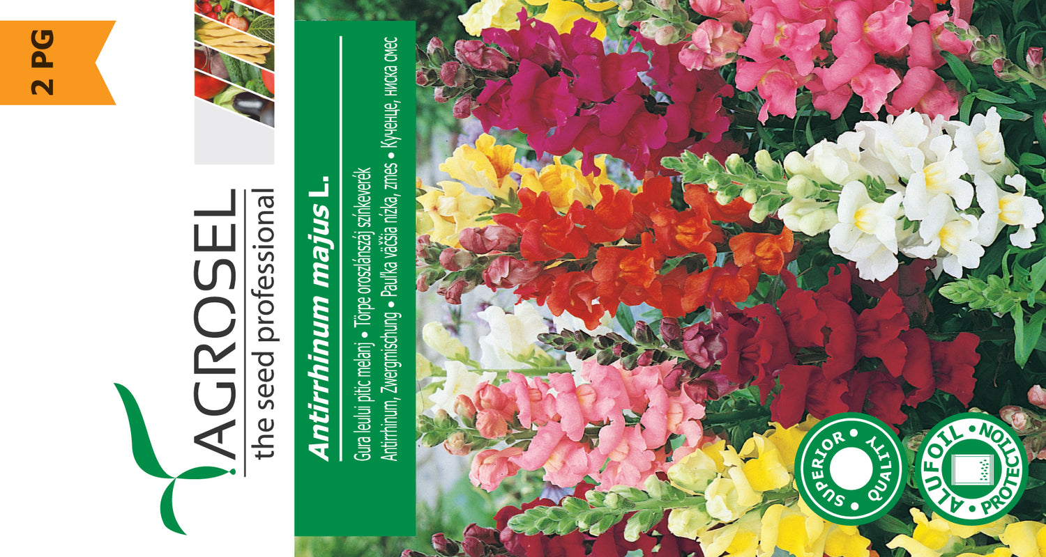 Løvemund Mix - Antirrhinum Majus