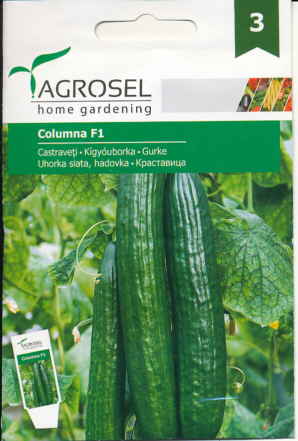 Agurk - Columna F1