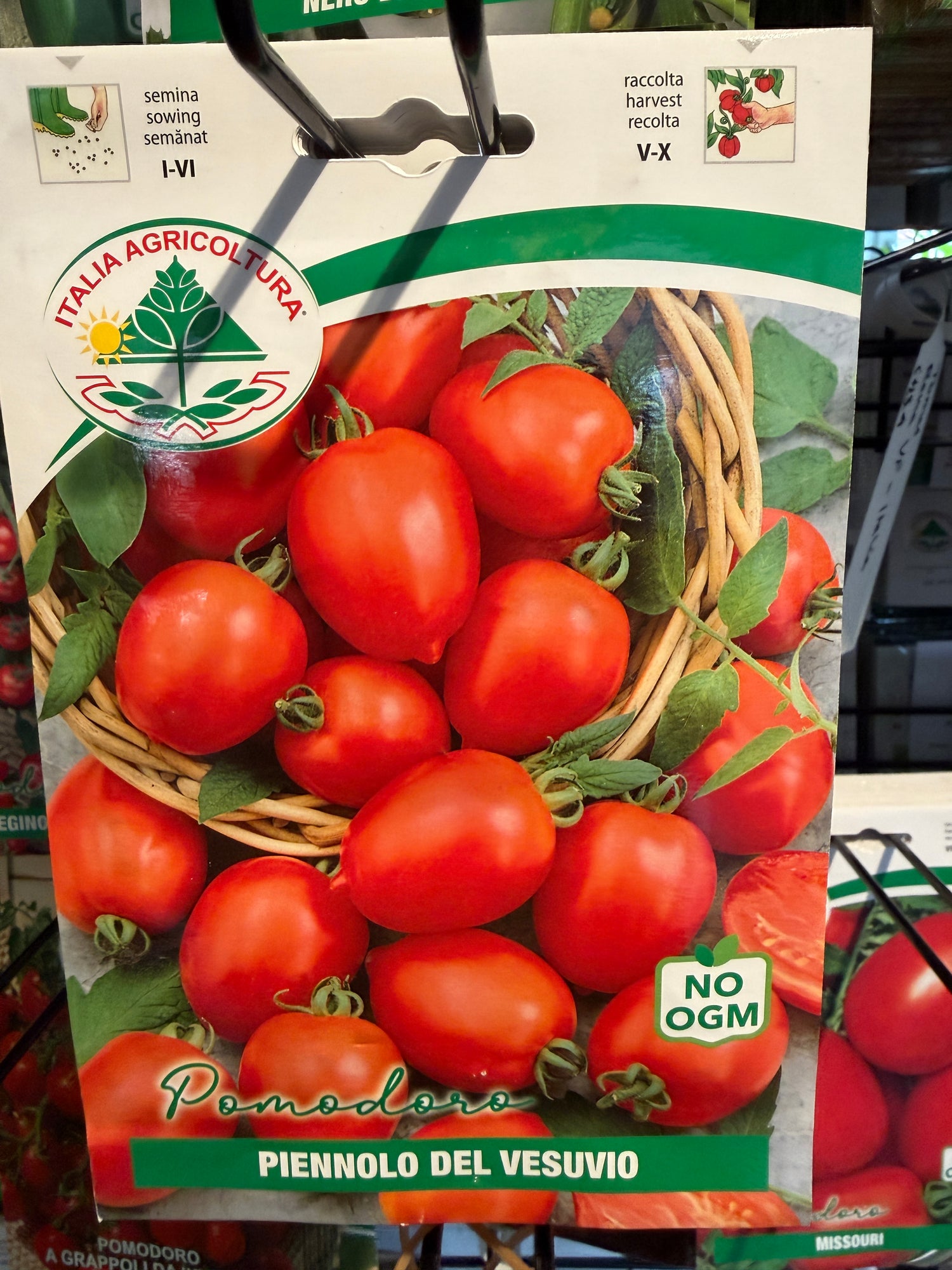 Pomodoro Piennolo del Vesuvio - Italia