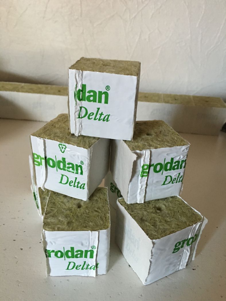 Grodan klodser 4x4 cm - originale - 24 stk