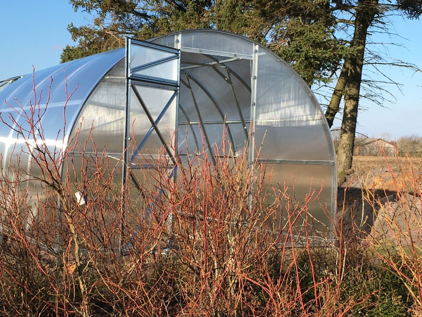 Drivhus - STRONG 30 m2 - Upgraded version