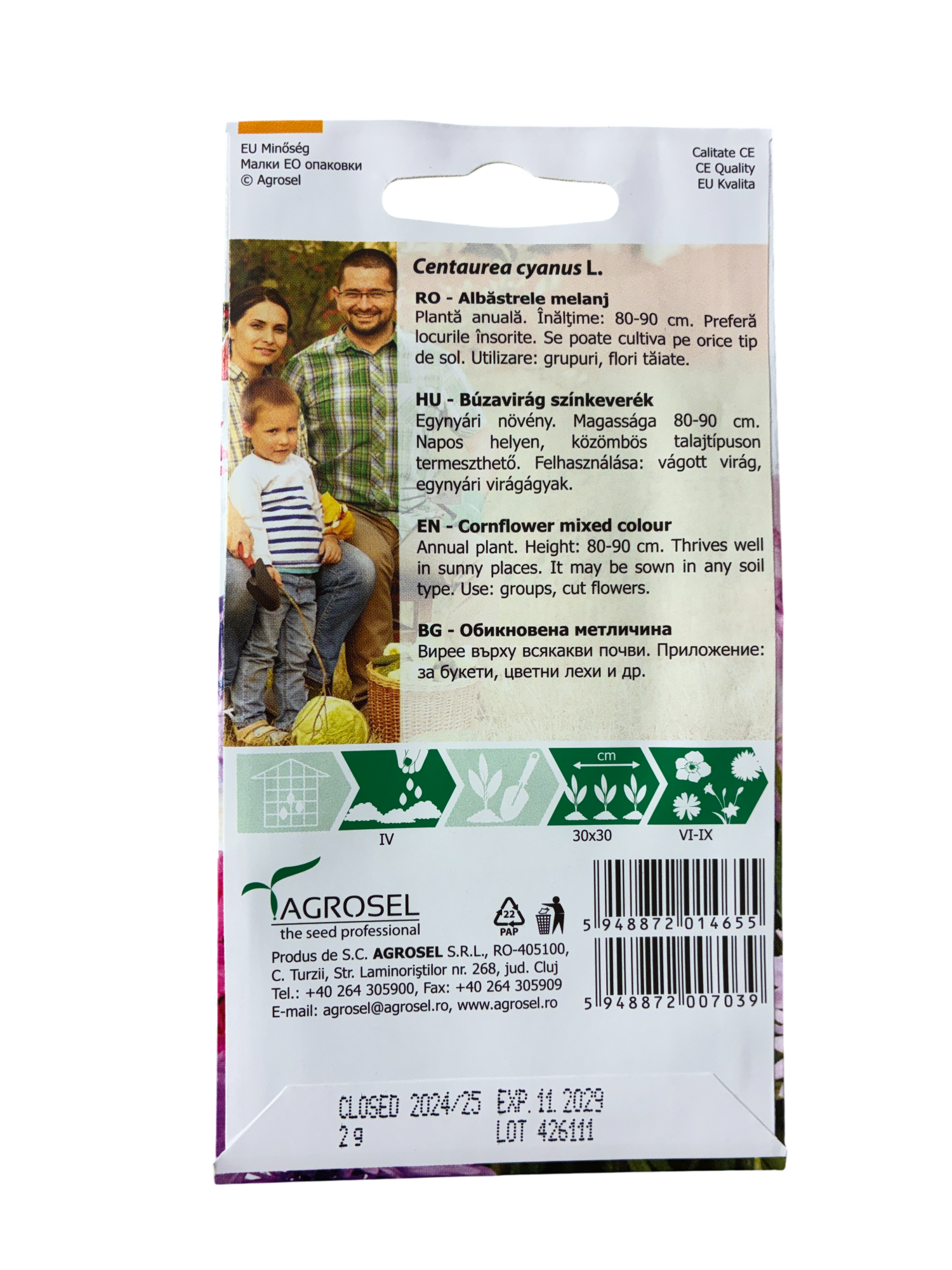 Kornblomst - Centaurea Cyanus L. - pg2