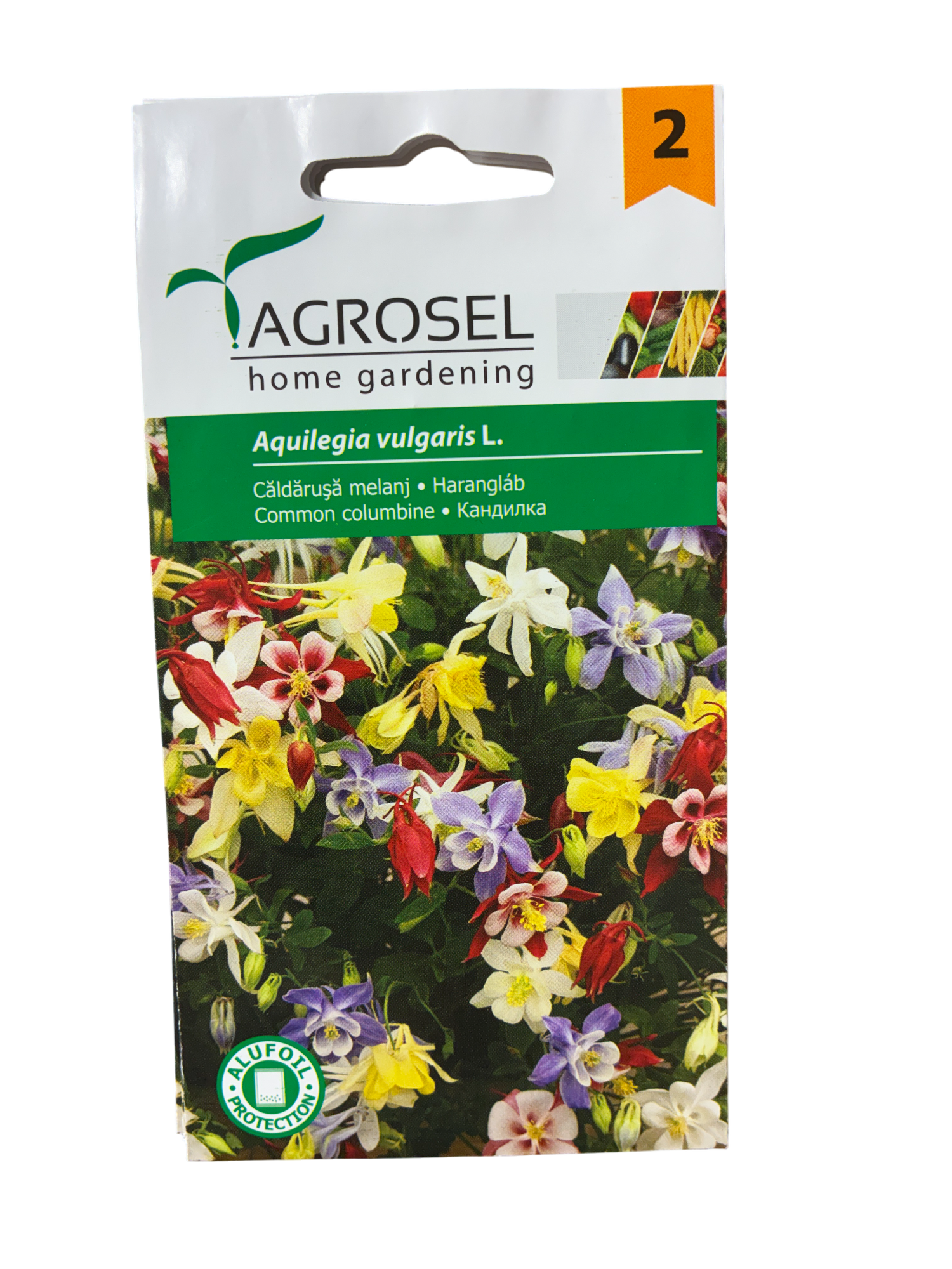 Akeleje - Aquilagia vulgaris L. - pg2