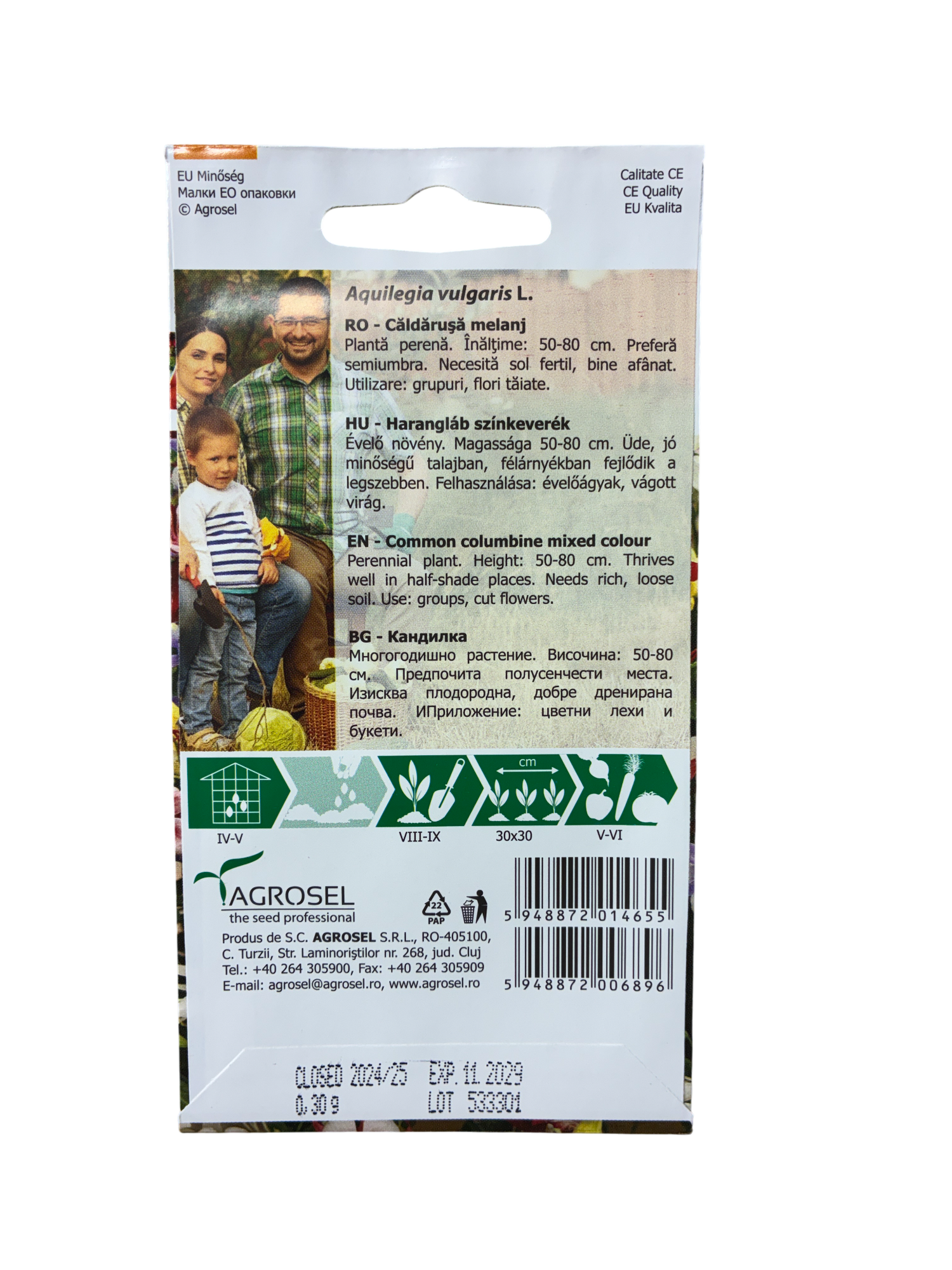 Akeleje - Aquilagia vulgaris L. - pg2