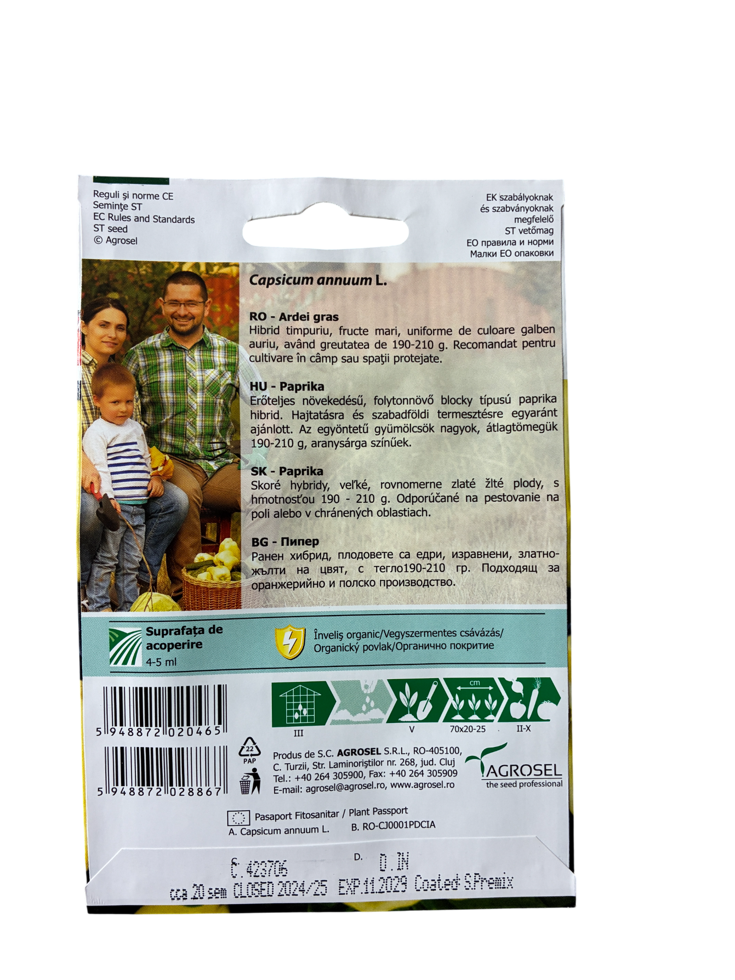 Paprika - Argent F1 - C.Annuuum - pg3