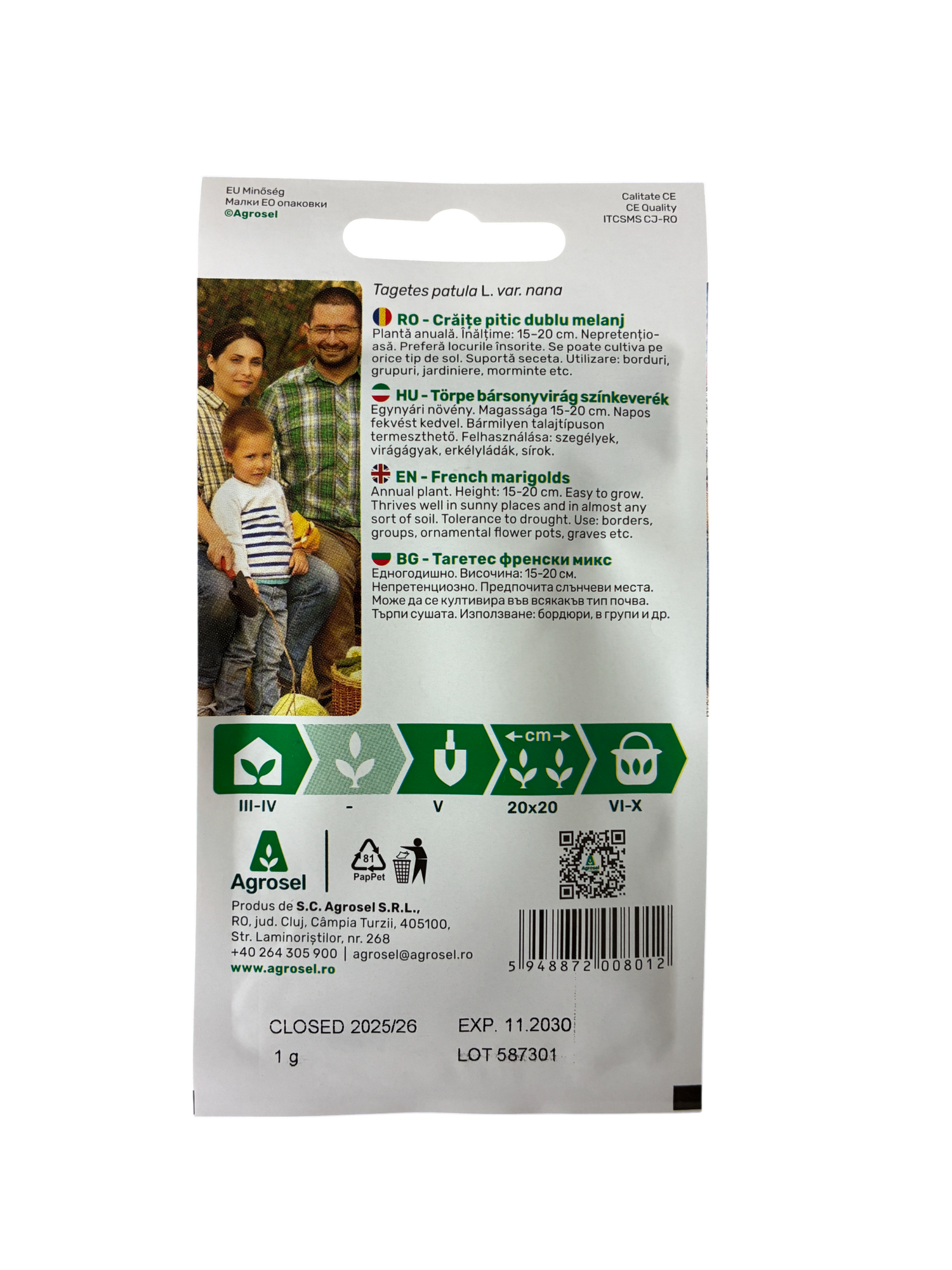 Dværg Tagetes - Tagetes patula L var. nana - pg 2