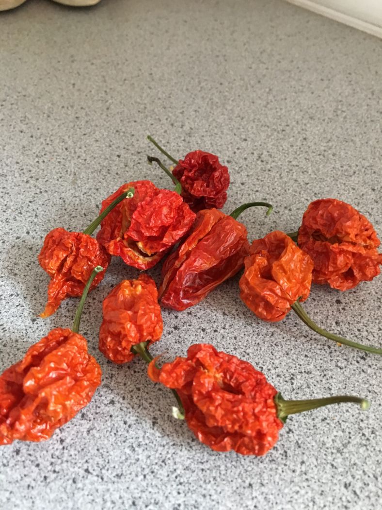 Krydderikværn m/Carolina Reaper chili