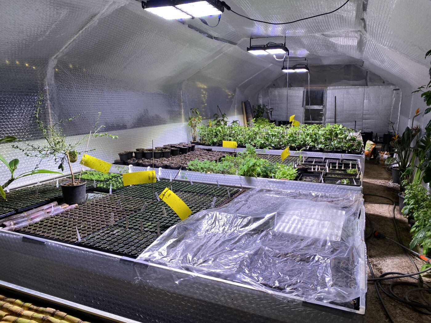 LedLife GX8 series - Grolys