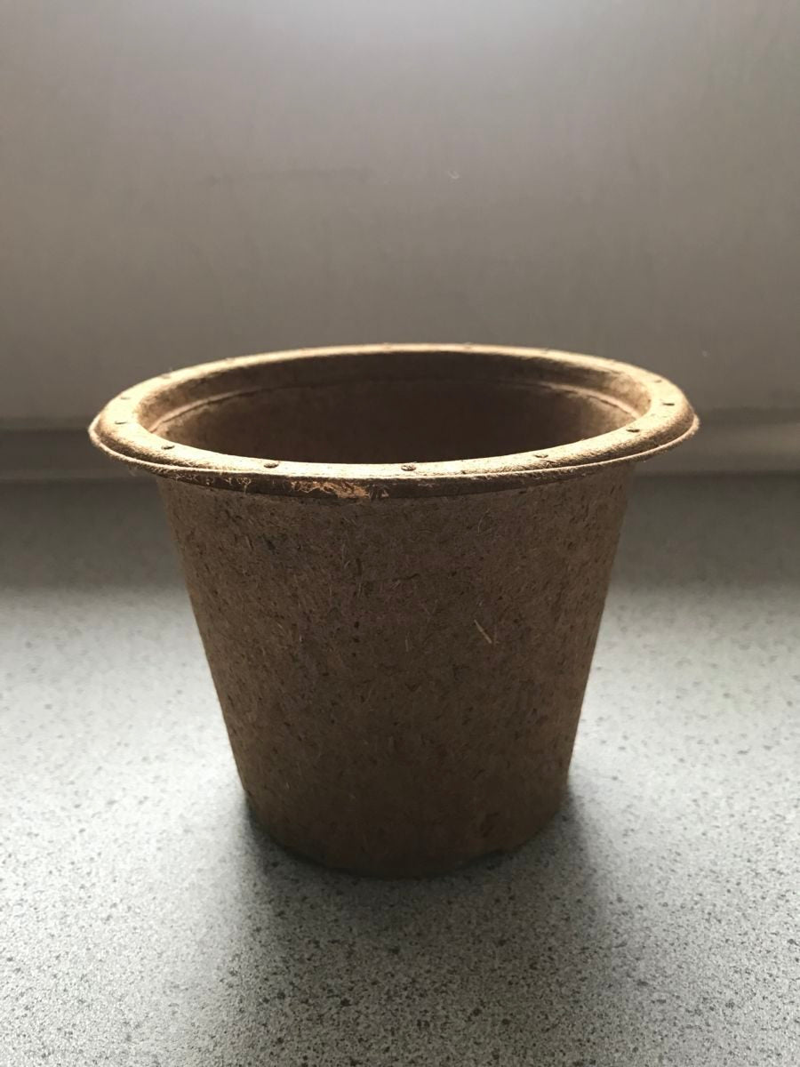 Potte i Træfiber - 12 cm