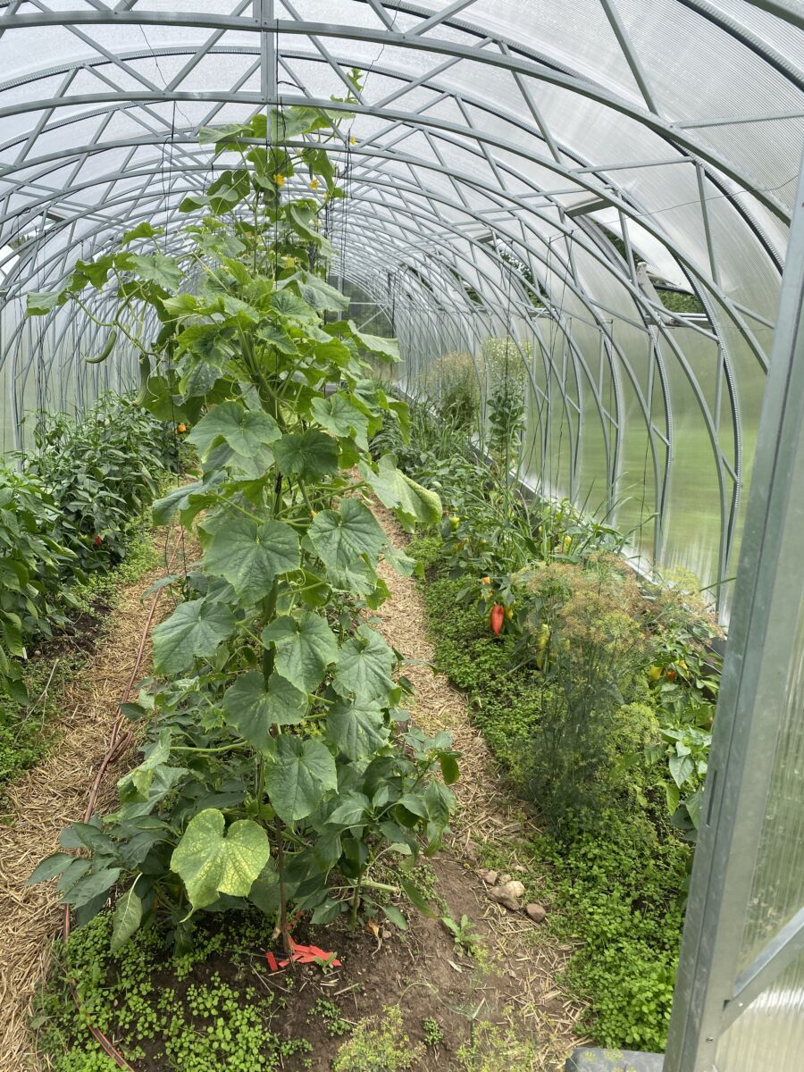 ECOSlider ES4 Premium Dobbeltdør