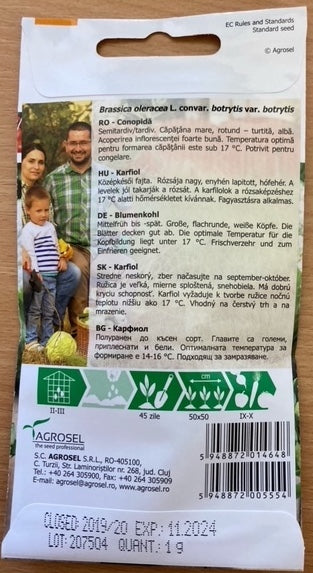 Blomkål - Igloory - mellem pk.