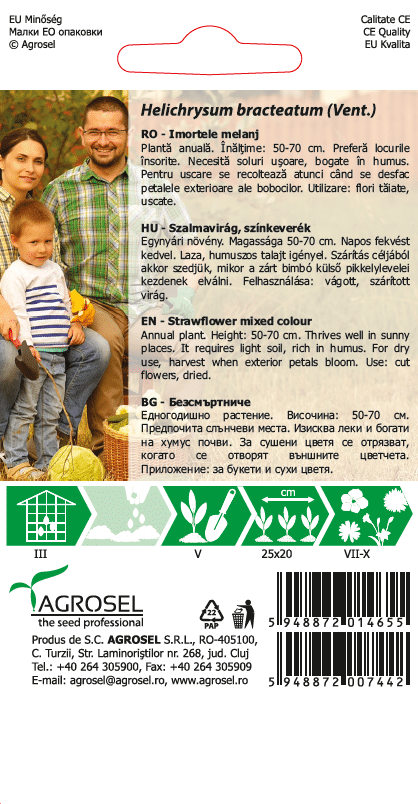 Evighedsblomst - Helichrysum bracteatum - PG2