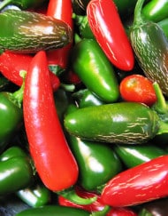 Jalapeño - C. annuum