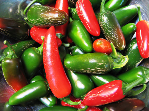 Jalapeño - Friske