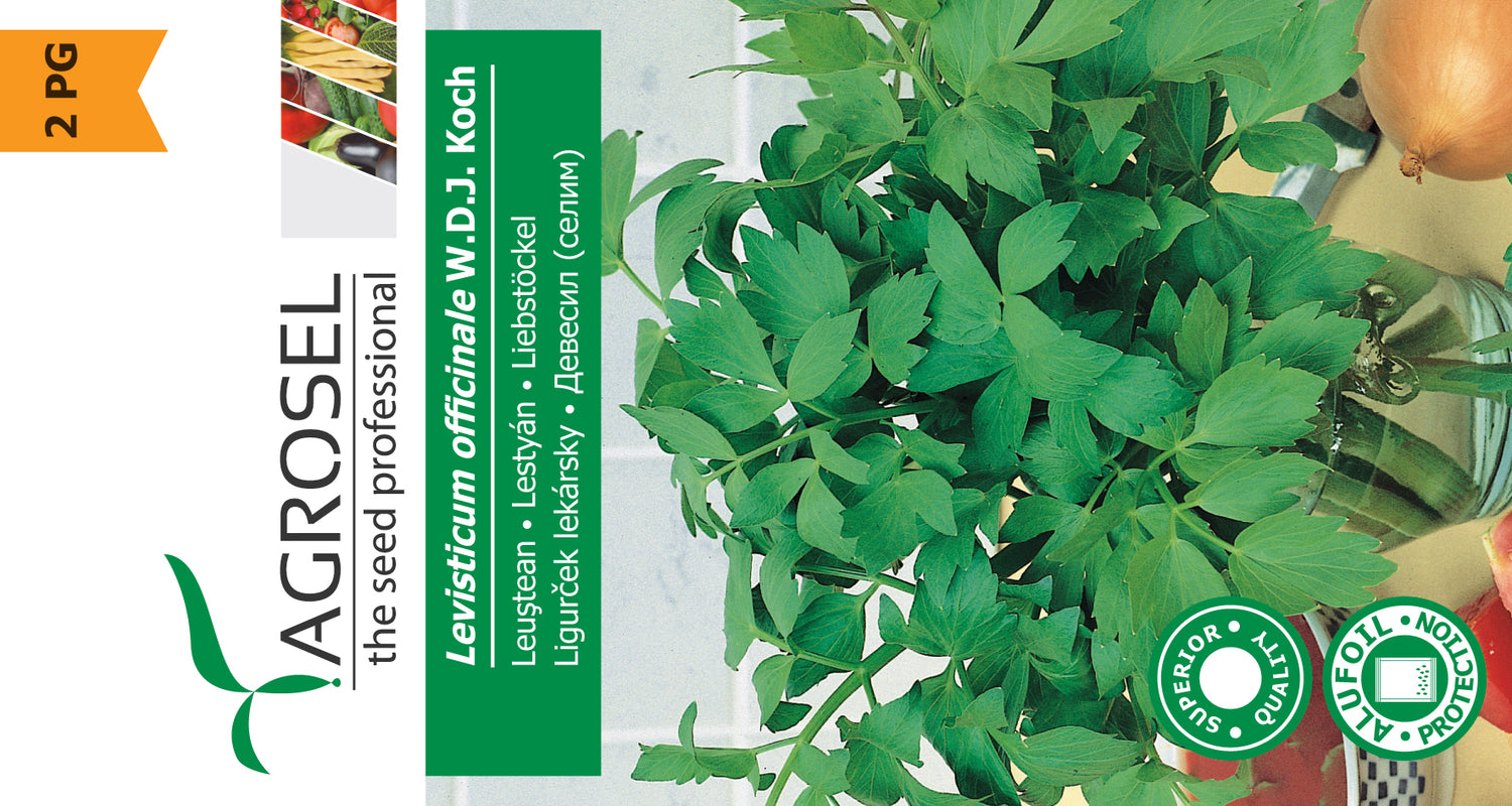 Løvstikke - Levisticum Officinale WDJ Kock - Lille