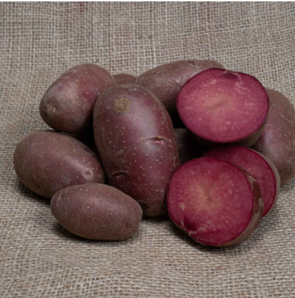 Bondens Bedste – LILY ROSE 1,5 KG – Læggekartoffel