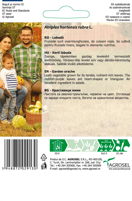Havesyre - Garden Orache – Baby Leaf - PG8