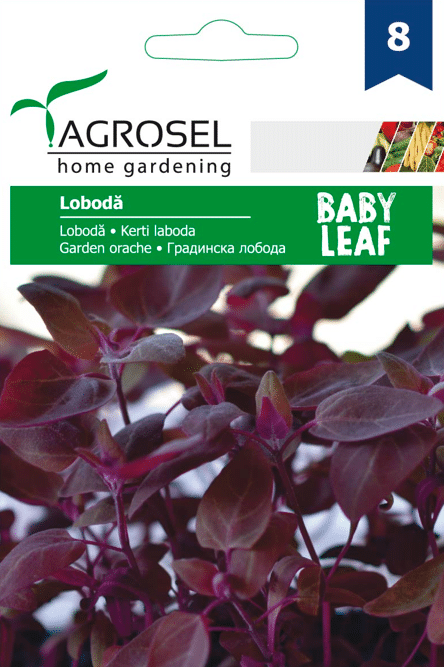 Havesyre - Garden Orache – Baby Leaf - PG8