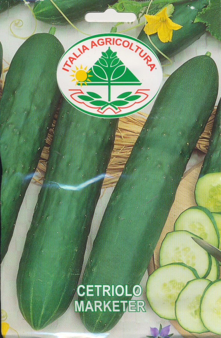 Agurk, salat - Marketer