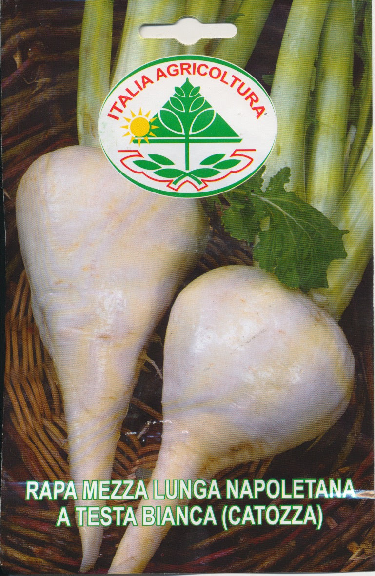 Kål, Majroe - A Testa Bianca (Catozza)