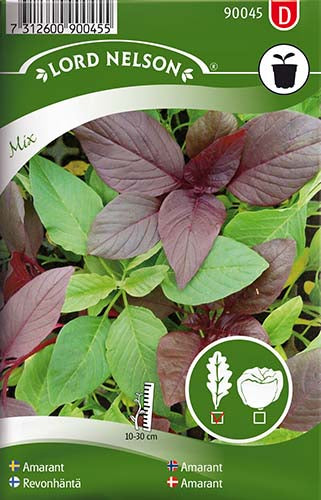 Amarant, Mix -  Amaranthus cruentus