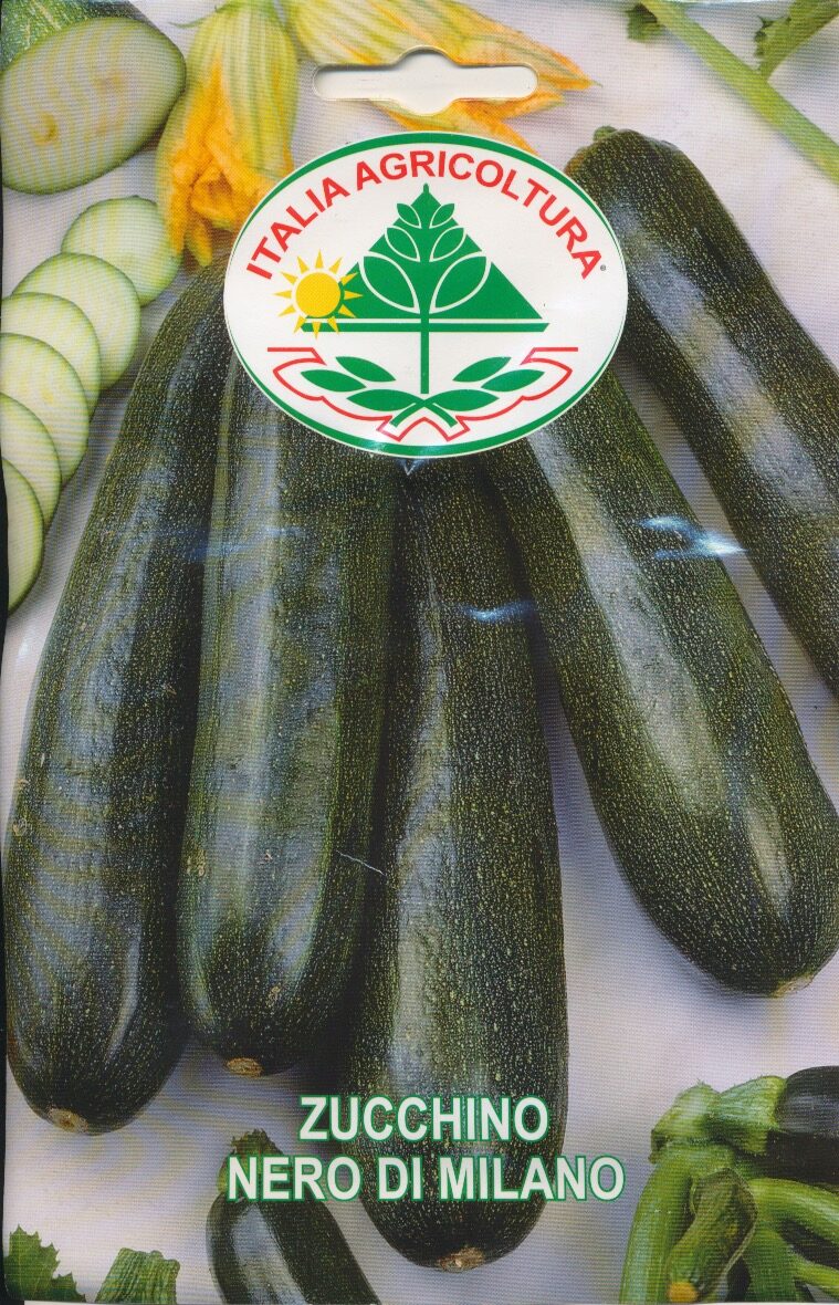 Squash - Nero Di Milano
