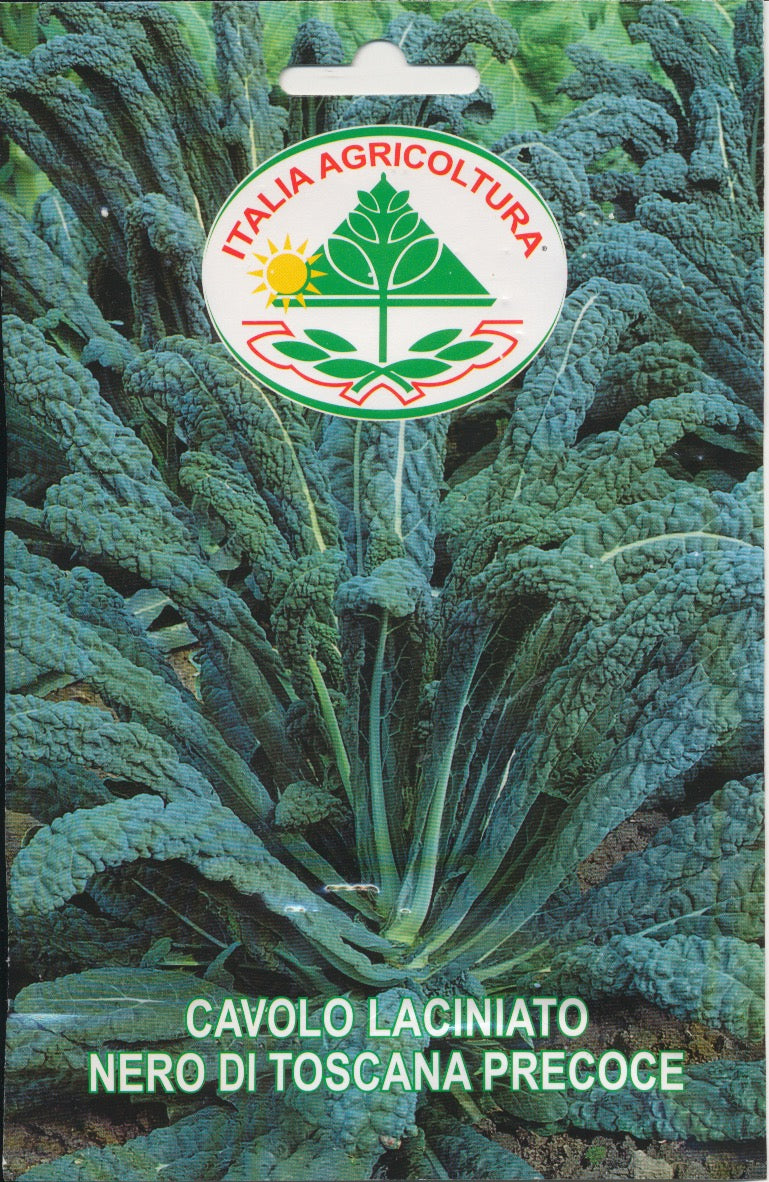 Kål, Palme - Nero Di Toscana Precoce
