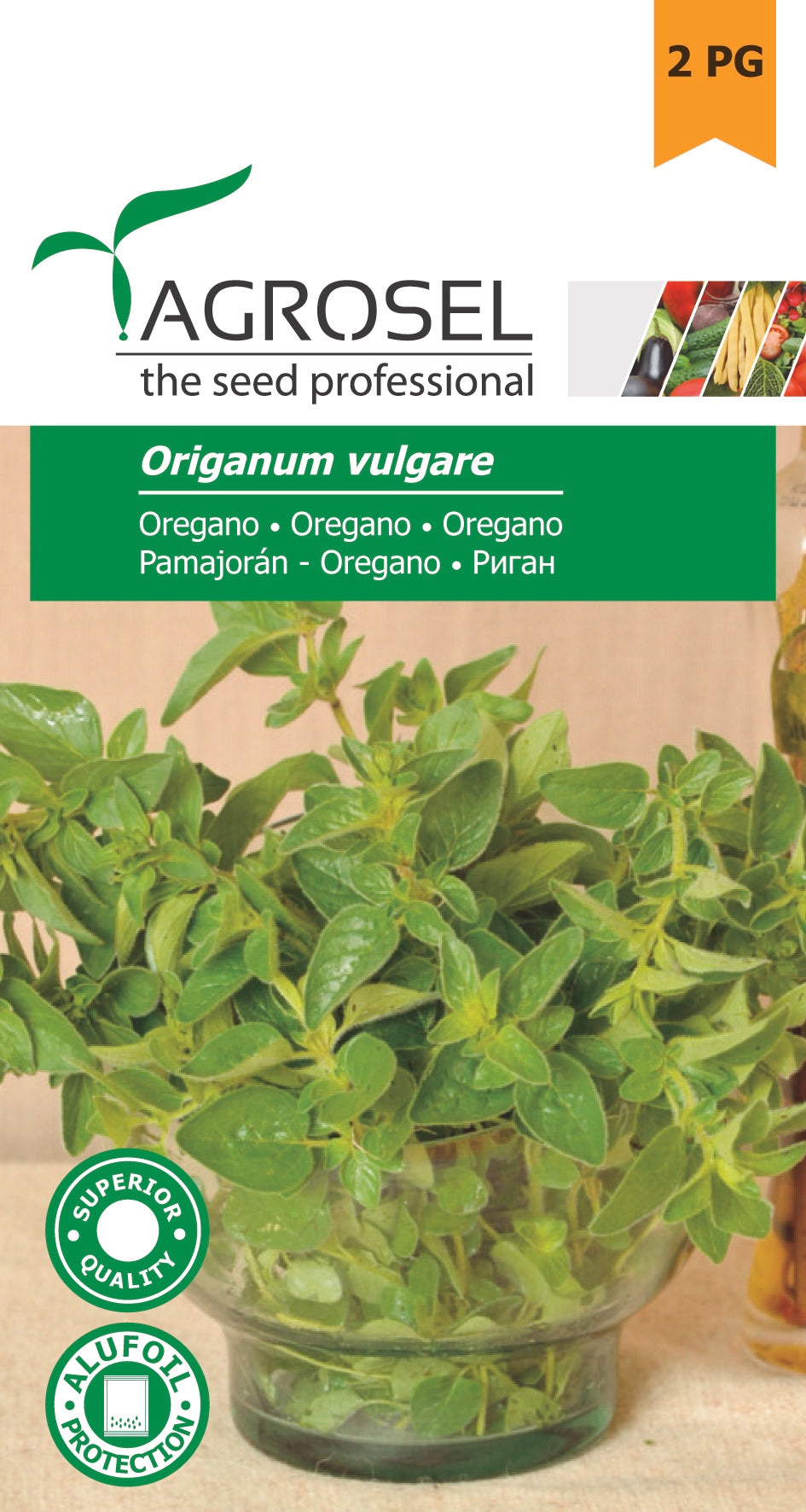 Oregano - Origanum Vulgare - PG2