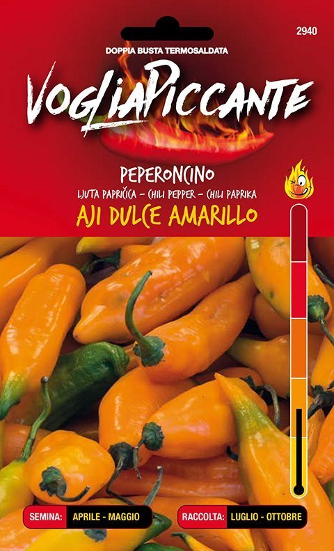 Aji Dulce Amarillo - C. chinense