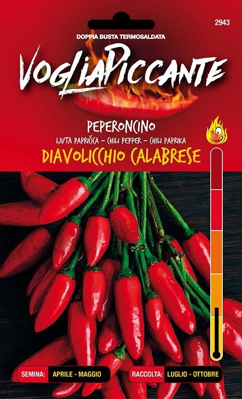 Diavolicchio Calabrese - C. annuum