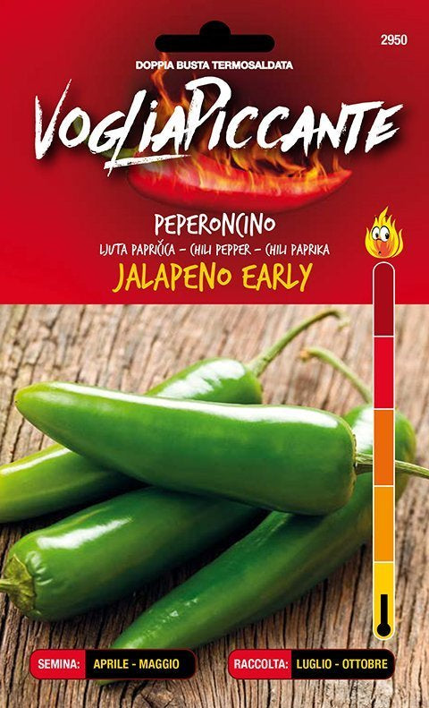 Jalapeño M - C. annuum