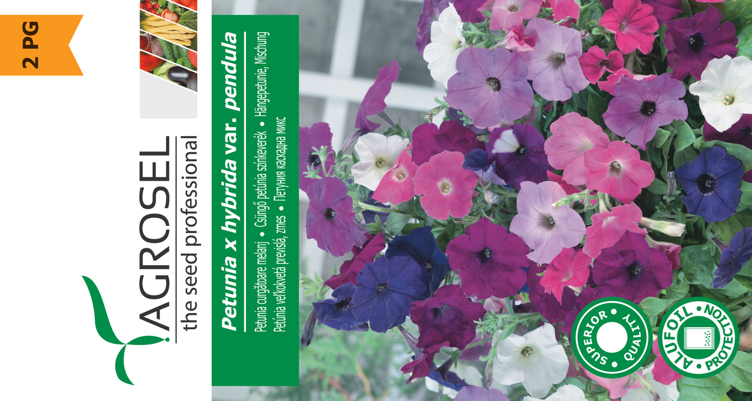 Petunia Hænge - Petunia x hybrida Pendula - PG2