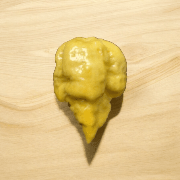 Carolina Reaper Golden - C.Chinense