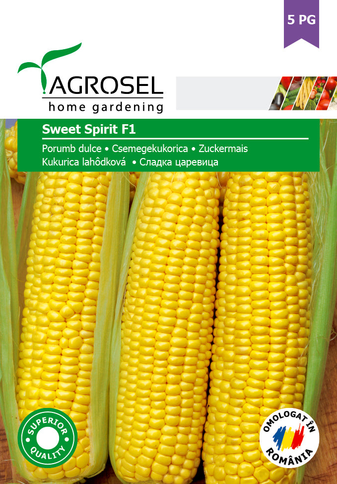 Sukkermajs - Sweet Spirit F1 - Big pack - PG 5