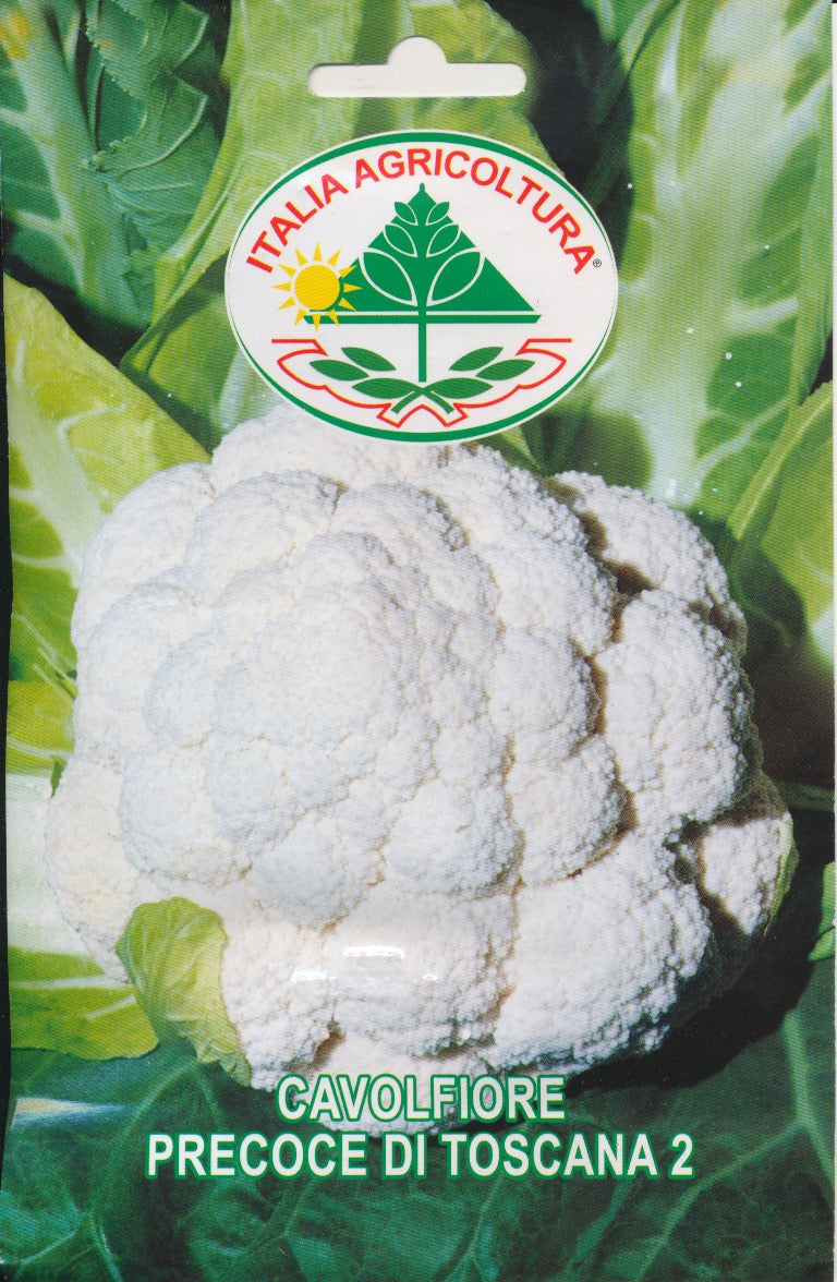 Kål, Blomkål - Precoce Di Toscana 2