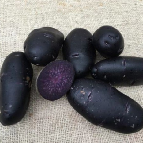 Bondens Bedste – PURPLE RAIN 1,5 KG – Læggekartoffel