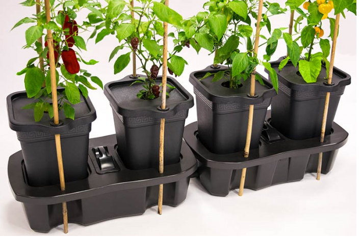 QUADGROW Pottelåg - 4 stk LÅG