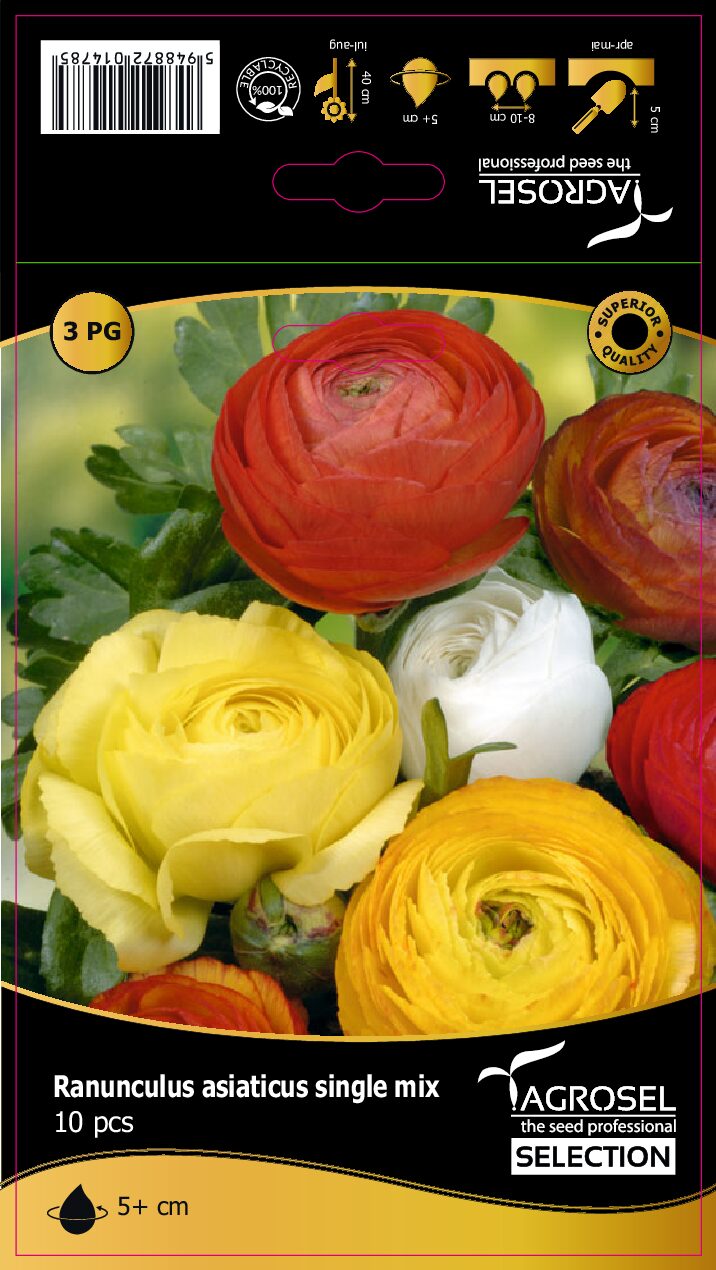 Ranunkel - Buttercup mix - knolde
