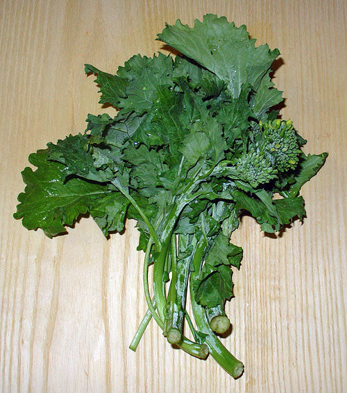Rapini - Fall Raab - Brassica oleracea Broccoli
