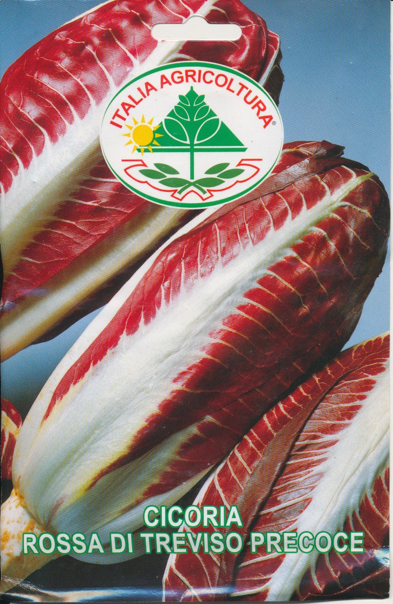 Cicoria, Julesalat - Rossa Di Treviso Precoce