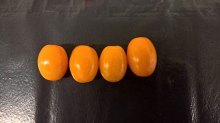 Snacktomat - Rimmerhus Sweet Orange F1