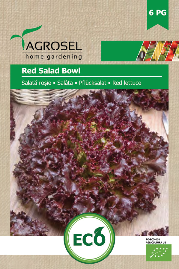 Salat - Red Salad Bowl ØKO