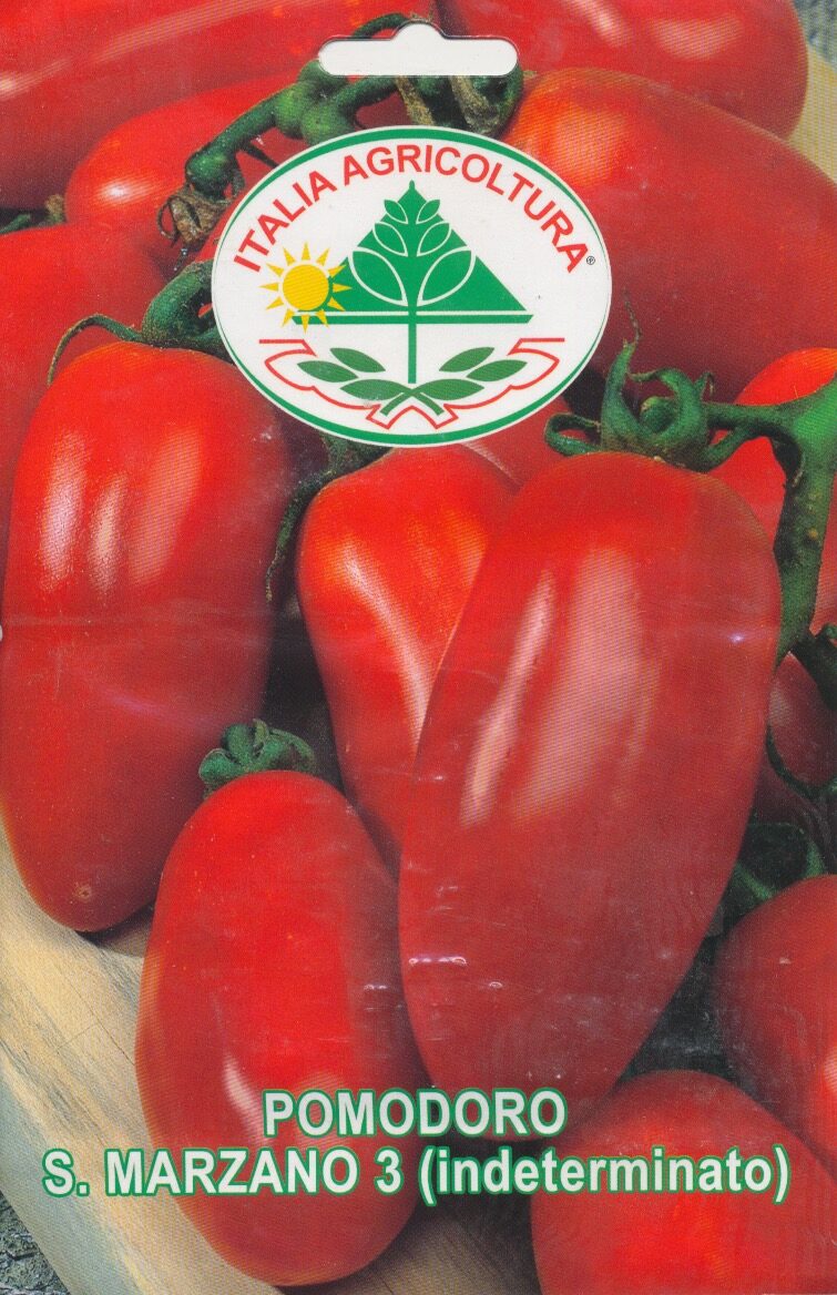 Tomat - San Marzano 3 - Italia
