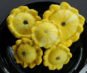 Yellow Bush - Squash